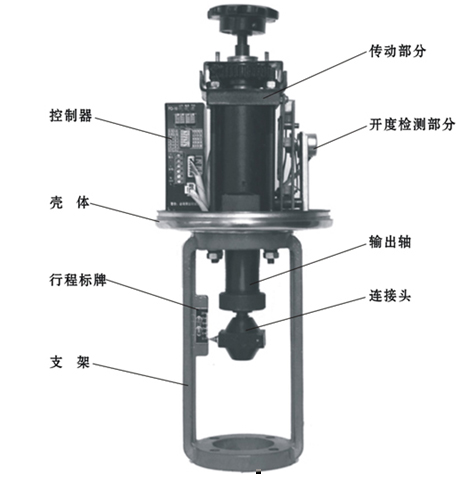 綯Ͳڷִ